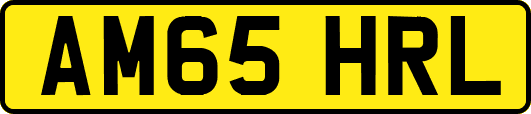 AM65HRL