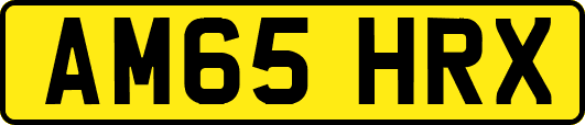 AM65HRX