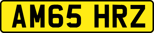 AM65HRZ