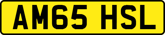 AM65HSL