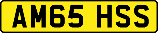 AM65HSS