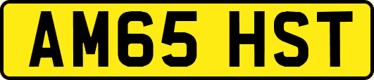 AM65HST