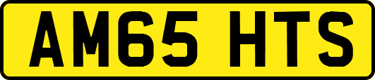 AM65HTS
