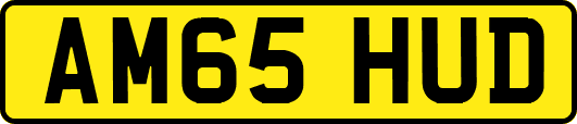 AM65HUD