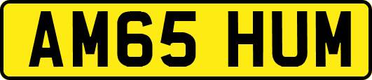 AM65HUM