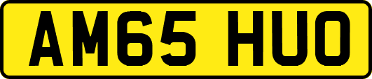 AM65HUO