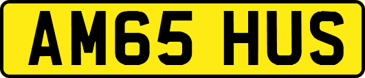 AM65HUS