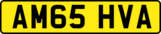 AM65HVA