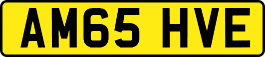 AM65HVE