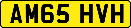 AM65HVH