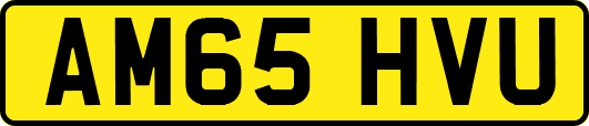 AM65HVU