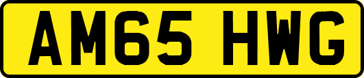 AM65HWG