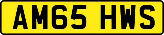 AM65HWS
