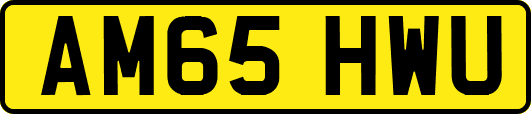 AM65HWU