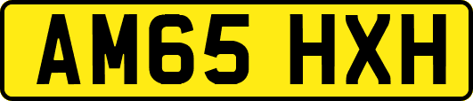 AM65HXH