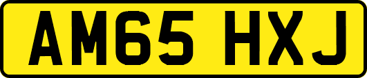 AM65HXJ