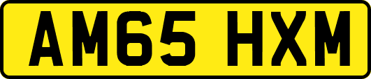 AM65HXM