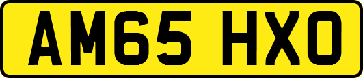 AM65HXO