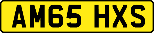 AM65HXS