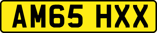 AM65HXX