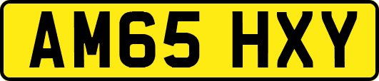 AM65HXY