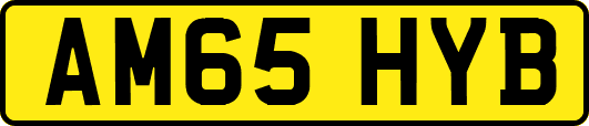 AM65HYB