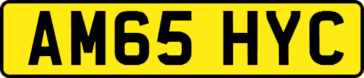 AM65HYC