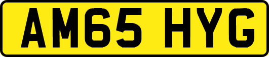 AM65HYG