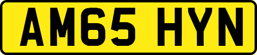 AM65HYN
