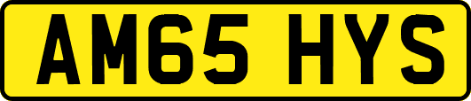 AM65HYS