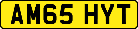 AM65HYT