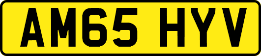 AM65HYV