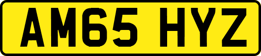 AM65HYZ