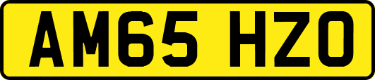 AM65HZO