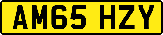 AM65HZY