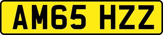 AM65HZZ