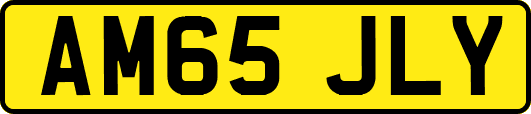 AM65JLY