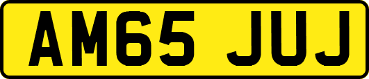 AM65JUJ