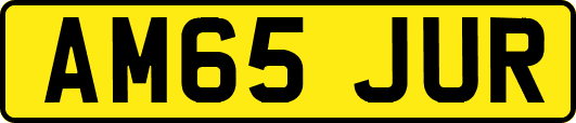 AM65JUR
