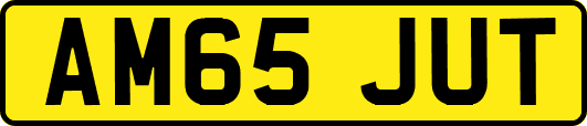 AM65JUT