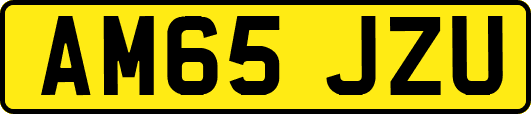 AM65JZU