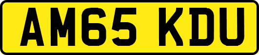 AM65KDU