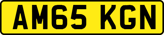 AM65KGN