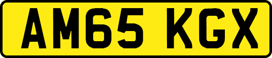 AM65KGX