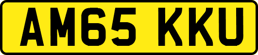 AM65KKU