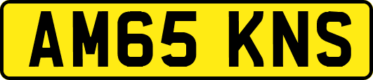AM65KNS