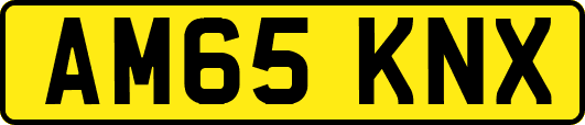 AM65KNX