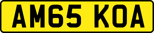 AM65KOA