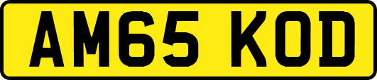 AM65KOD
