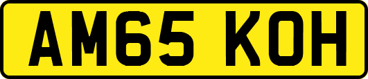 AM65KOH